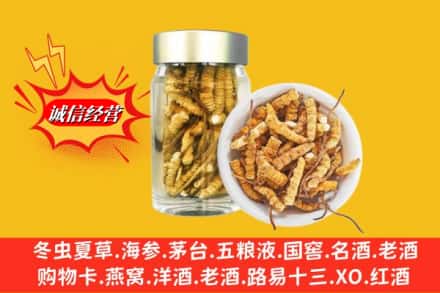 林芝朗县回收散虫草