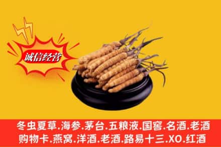 林芝朗县求购回收虫草多少钱每克
